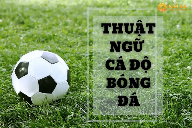5 Thủ Thuật Cá Độ Bóng Đá Và Bí Quyết Chiến Thắng Dành Cho Newbie