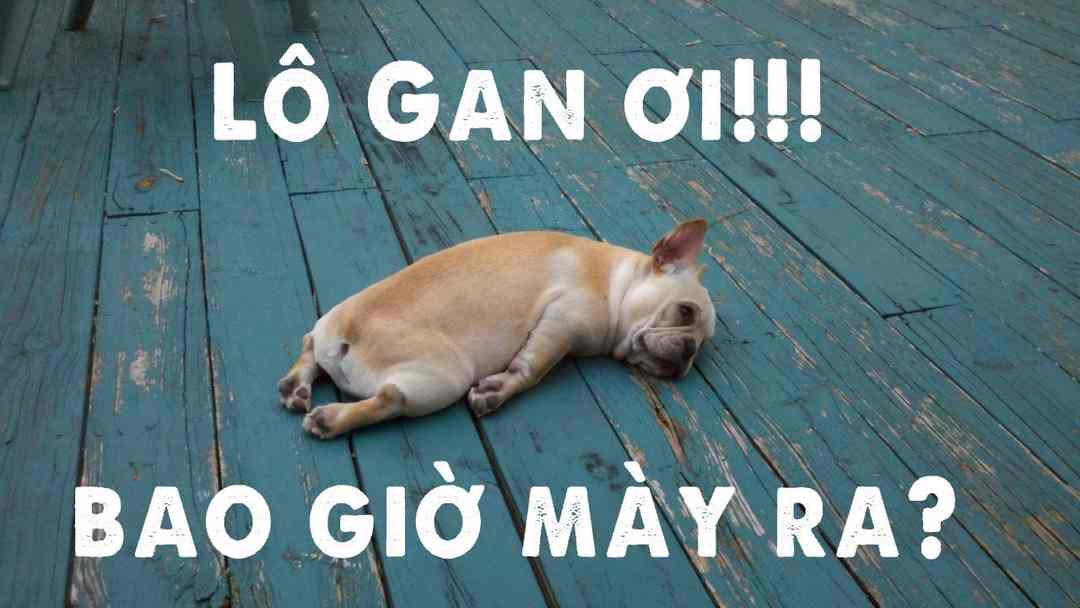 Lô khan là gì? Mục đích và phương pháp soi lô khan hiệu quả Lô khan là gì? Mục đích và phương pháp soi lô khan hiệu quả