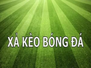 Thể Thao - 8KBET